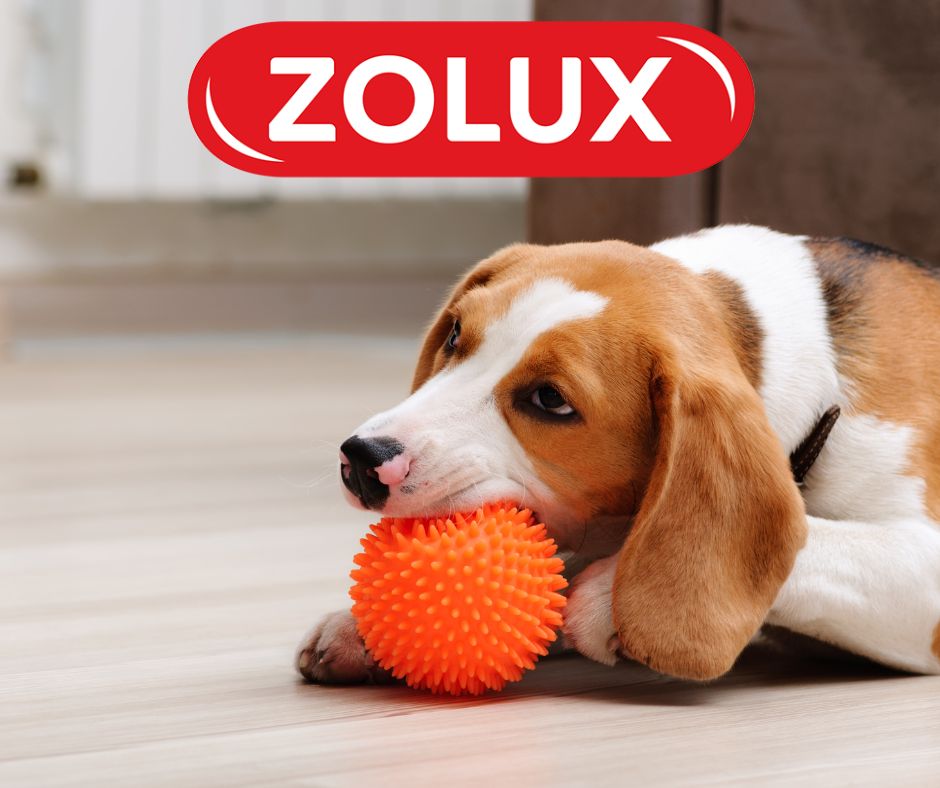 Zolux - Kvalita a inovace - profipes.cz